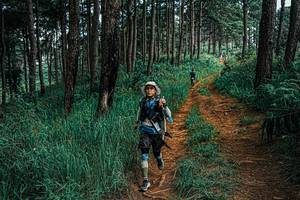 BIB: 
                            <button type="button" onclick="openModal(25660130)" class="btn btn-primary btn-sm float-right btn-popup" data-toggle="modal" data-target=".modal-high-quality">
                        <i class="fas fa-shopping-cart"></i> Add to Cart
                    </button>
                                            <button type="button" onclick="isThisMe(25660130, true)" class="btn btn-success btn-sm float-right btn-popup btn-isme hidden" data-toggle="tooltip" data-placement="bottom" title="นี่คือรูปของคุณใช่ไหม คลิกที่นี่เพื่อเอาเข้าอัลบั้ม">
                        <i class="fas fa-plus"></i> Add to album
                    </button>
                    <button type="button" onclick="isThisMe(25660130, false)" class="btn btn-warning btn-sm float-right btn-popup btn-isnotme hidden">
                        <i class="fas fa-ban"></i> Remove from album
                    </button>